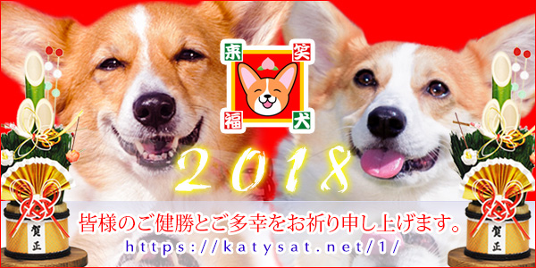 謹賀新年2018