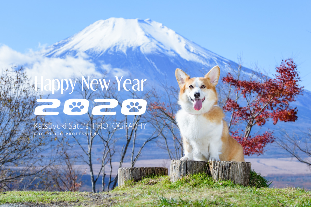 happy-new-year-2020