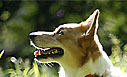 岡村公園 2003-5 Ⅰ