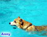 Anny